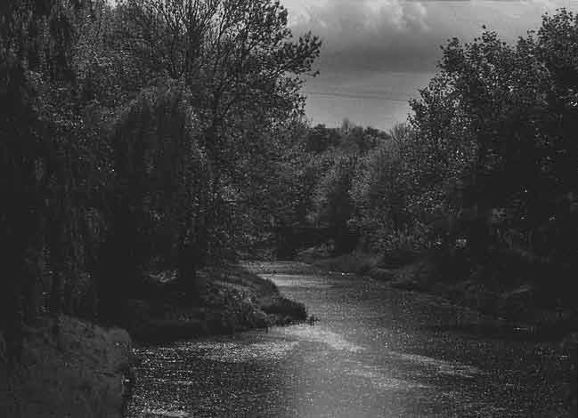 © - sonnenregen