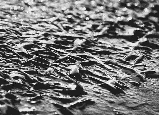 toepchin - toepchiner see - toepchiner eis - landschaftsfotografie - © - another vision